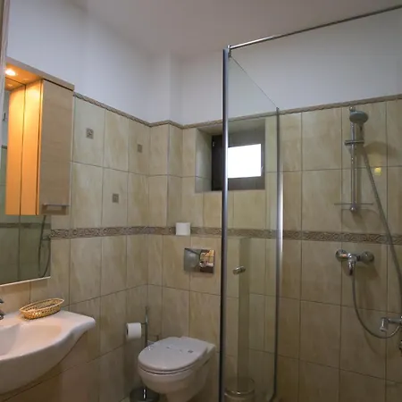 Pensiunea Rustik Lancram Guest house Sebes (Alba)