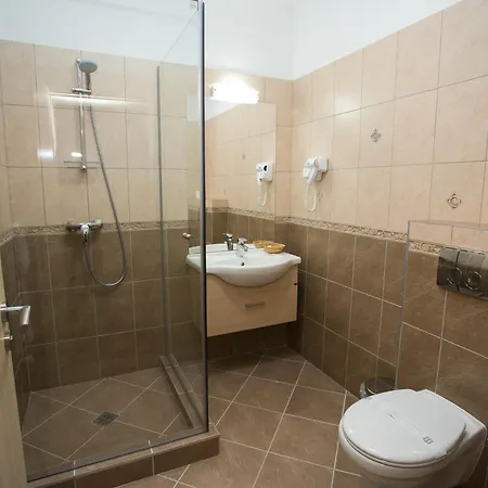 Guest house Pensiunea Rustik Lancram